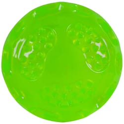 Hyper Pet Dura-Squeaks Green TPR Ball Dog Toy