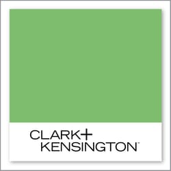 Clark+Kensington Green Tomatoes 28D-4