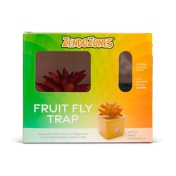 ZendoZones Fruit Fly Trap 1 box