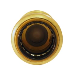 Apollo Tectite 3/4 in. D X 3/4 in. D Brass Backflow Preventer Check Valve