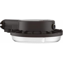 Lithonia Lighting Dusk to Dawn Hardwired LED Bronze Security Light