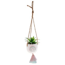 Karma Gifts 2 in. H X 3 in. W X 2 in. L Multicolored Ceramic Hanging Succulent Pot