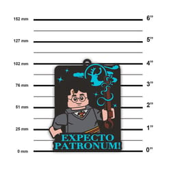 LEGO Harry Potter Expecto Patronum Magnet Silicone 1 pk