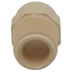 Charlotte Pipe FlowGuard Schedule 40 1/2 in. Socket X 1/2 in. D MNPT CPVC Adapter 1 pk