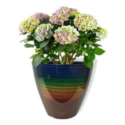 Misco 11.8 in. H X 13 in. D Resin Planter Multicolored