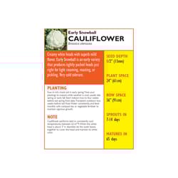 Lake Valley Seed Vegetable Seeds