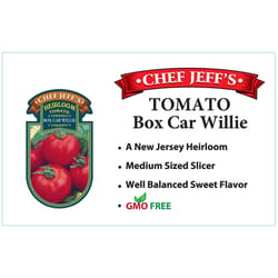 Chef Jeff Red Heirloom Boxcar Willie Tomato Vegetable Plant