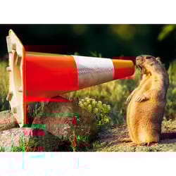 Avanti Seasonal Groundhog Construction Cone Graduation Card Paper 2 pc