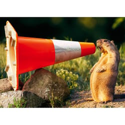 Avanti Seasonal Groundhog Construction Cone Graduation Card Paper 2 pc