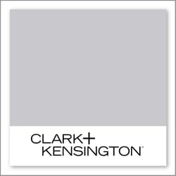 Clark+Kensington Silver Glamour N-C18