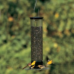 Droll Yankees Tipper Wild Bird 5 lb Polycarbonate Tube Bird Feeder 4 ports