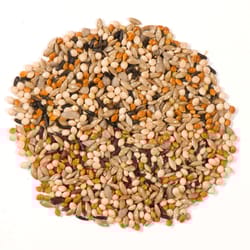 Nature's Nuts XtremeClean Finch Millet Wild Bird Food 25 lb