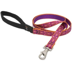 Lupine Pet Original Designs Multicolor Alpen Glow Nylon Dog Leash