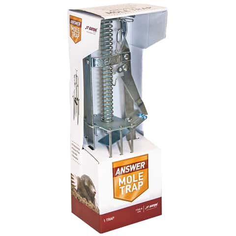 Animal Traps - Ace Hardware