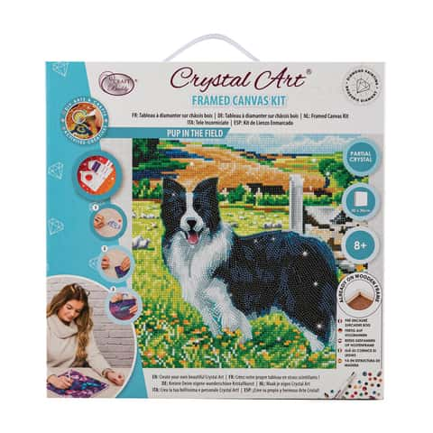 Crystal Art Craft Buddy Framed Canvas Kit Multicolored