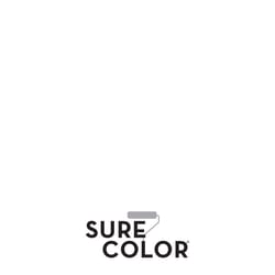 Rust-Oleum Sure Color Eggshell Alpine White Water-Based Paint + Primer Interior 1 gal
