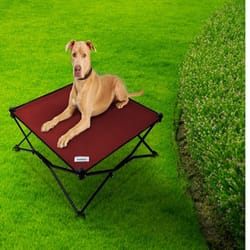 Coolaroo Red Polyethylene Pet Bed 8 in. H X 30 in. W X 30 in. L