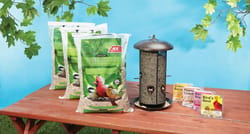 Ace Premium Assorted Species Milo and Corn Wild Bird Food 20 lb