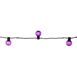 Celebrations Purple 25 ct LED Smooth Frosted Halloween Lights