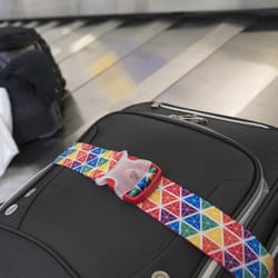 Travelon Multicolored Luggage Strap