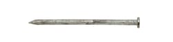 Ace 8D 2-1/2 in. Common Hot-Dipped Galvanized Steel Nail Flat Head 5 lb