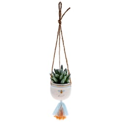 Karma 2 in. H X 3 in. W X 2 in. L Multicolored Ceramic Hanging Succulent Pot