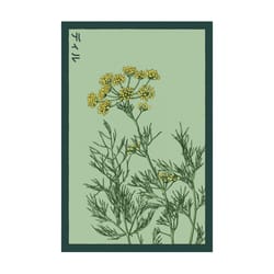 Chive Shido Seed Co Dill Herb Seeds 1 pk