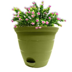 Misco QuickView 8.75 in. H X 10 in. D Resin Planter Terra Green