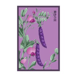 Chive Shido Seed Co Purple Peas Seeds 1 pk