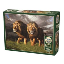 Cobble Hill Approaching Storm Jigsaw Puzzle Multicolored 1000 pc