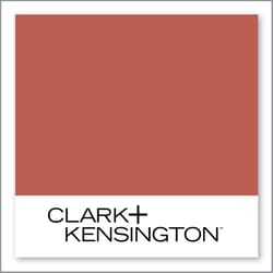 Clark+Kensington Toucan Tango 09B-6