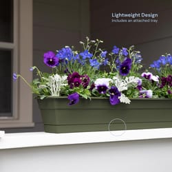 Bloem Dura Cotta 5.75 in. H X 24 in. W X 7.5 in. D Plastic Window Box Living Green