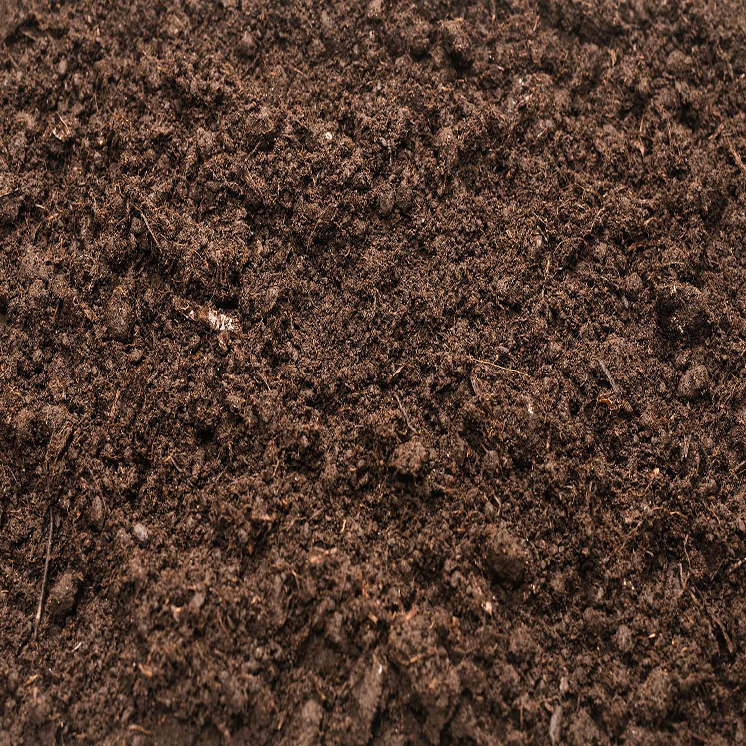 Locally Sourced Mushroom Mushroom Compost 40 lb Ace Hardware