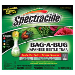 Insect Bait & Traps for Ants, Roaches and Flies at Ace Hardware