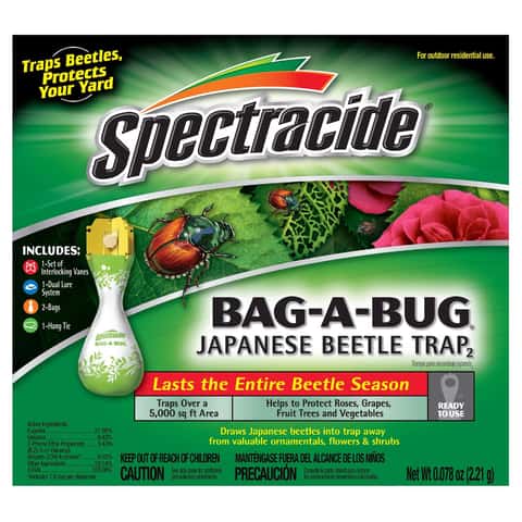 Black Carpet Beetle Traps Kit (10 pack)