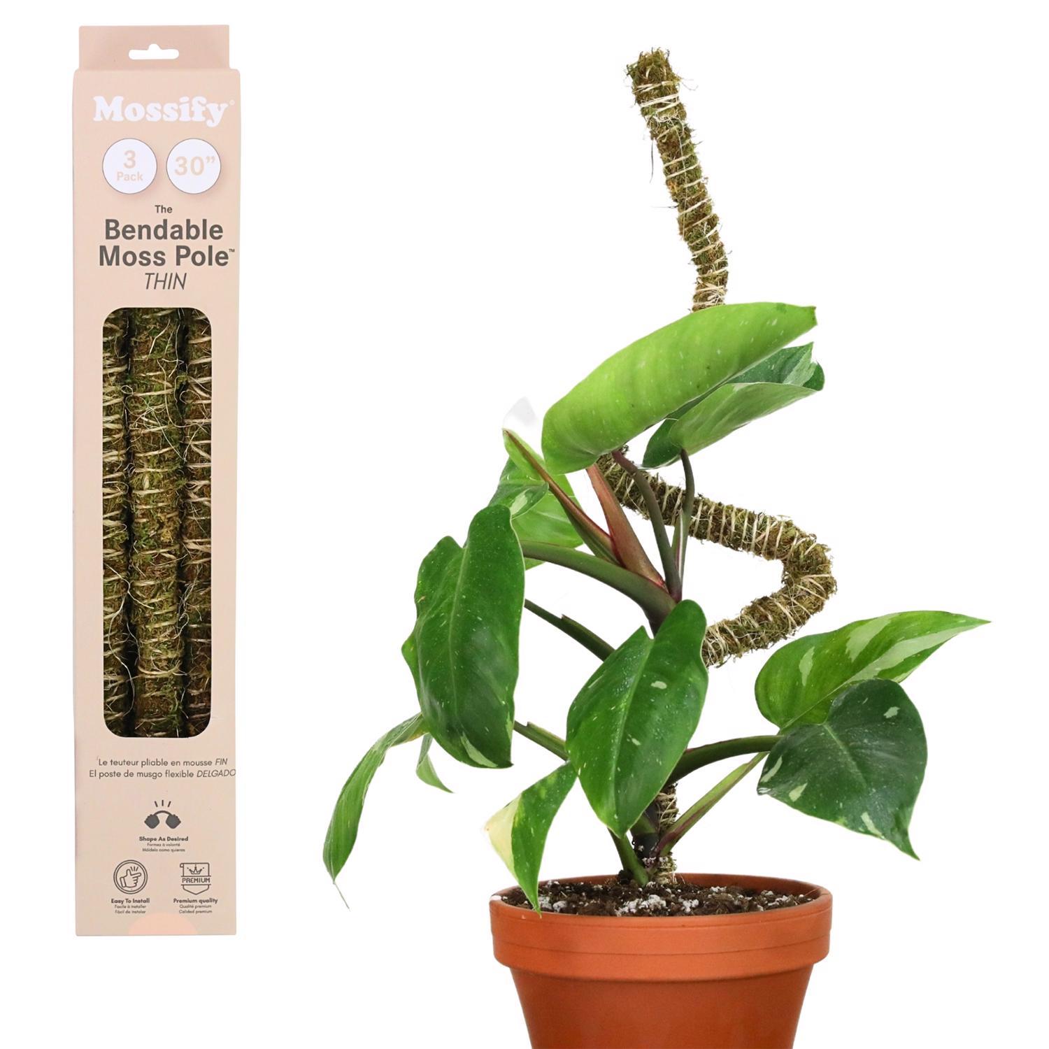 Mossify Bendable Moss Pole 30 in. H Green Moss Pole Mfr