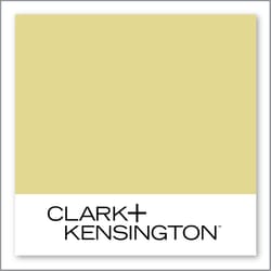 Clark+Kensington Lemongrass 24C-4