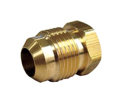 JMF Company 1/2 in. Flare Brass Hex Plug