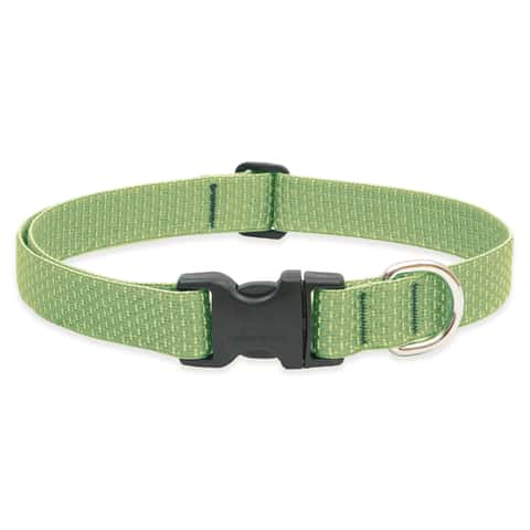 Recycled plastic best sale dog collar