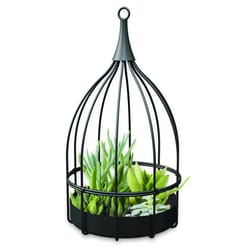 Panacea 9.75 D Metal Bird Cage Succulent Planter Black