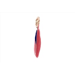 Pavilion We Pets Red Cotton Boat Squeak Dog Toy 13 in. 1 pk