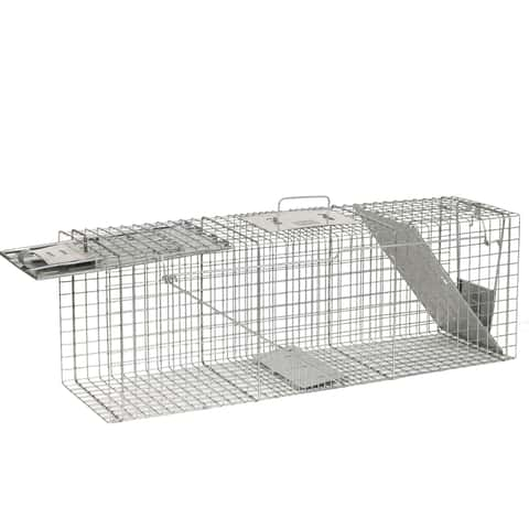 Havahart Easy Set Live Raccoon Trap, Gray, L