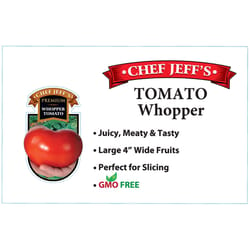 Chef Jeff Red Premium Whopper Tomato Vegetable Plant