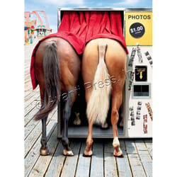 Avanti Horses in Photo Booth Birthday Card Paper 2 pc