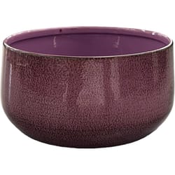 Robert Allen 6 in. D Steel Mini Bella Bowl Planter Purple