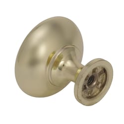 Amerock Allison Round Cabinet Knob 1-1/4 in. D 1-1/8 in. Polished Brass 1 pk