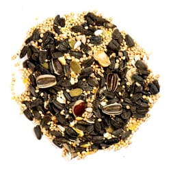 Nature's Nuts XtremeClean Assorted Species Black Oil Sunflower Wild Bird Food 8 lb