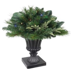 Celebrations 2 ft. Full LED 35 ct Decorative Color Changing Porch Bush