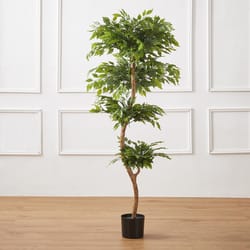 Glitzhome Green Plastic 61 in. H X 24 in. W Artificial Potted Plant