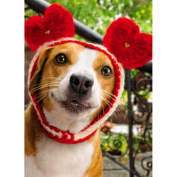 Avanti Press Seasonal Dog with Heart Cap Valentine's Day Card Paper 2 pc